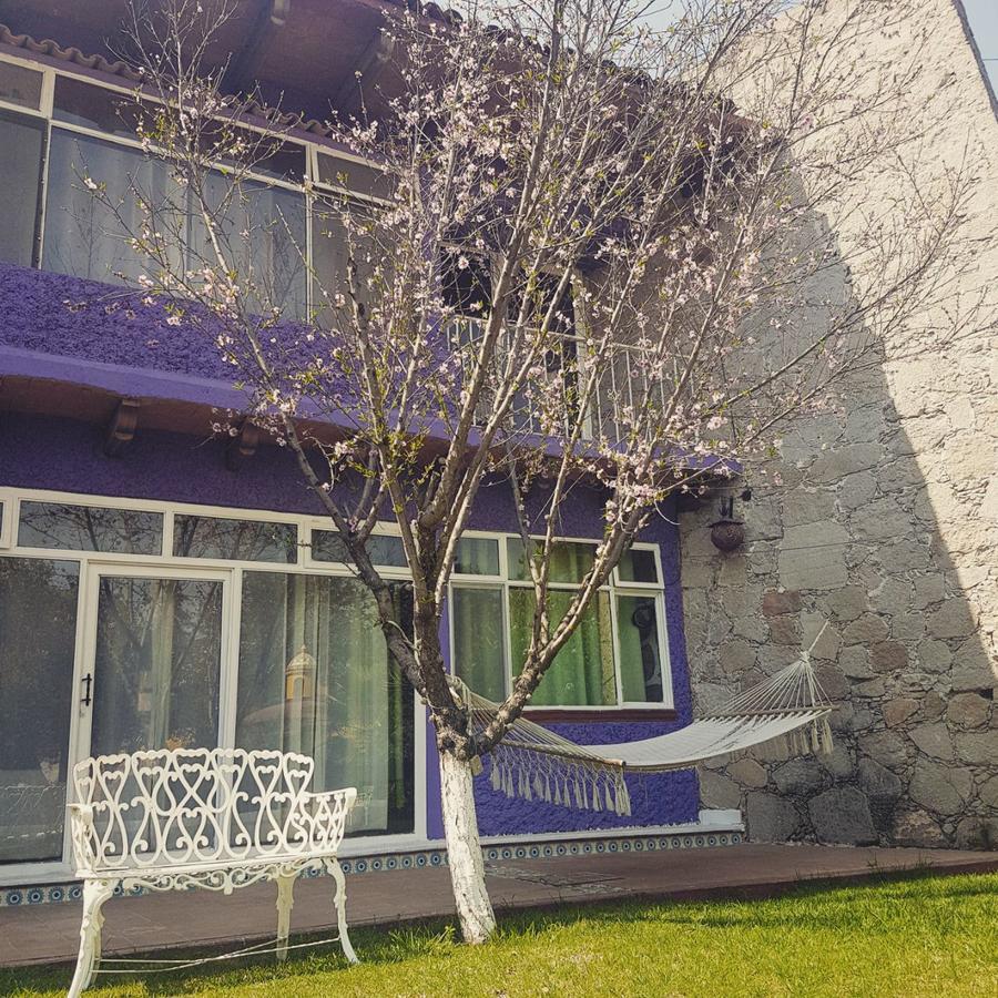 Mi Hotel Tequisquiapan Dış mekan fotoğraf
